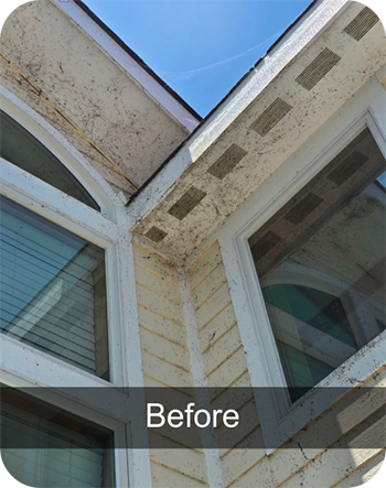 outer banks power wash wall before 7