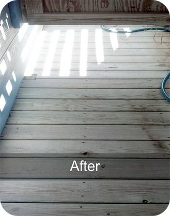 shower path after power washing 8