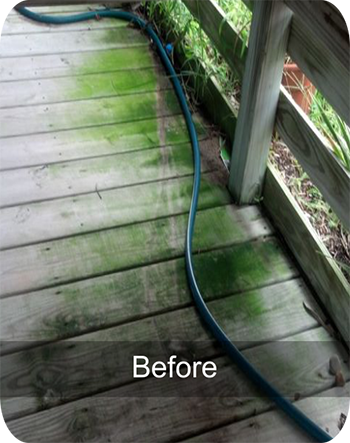 shower path before power washing 8