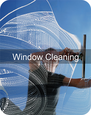 OBX window cleaning